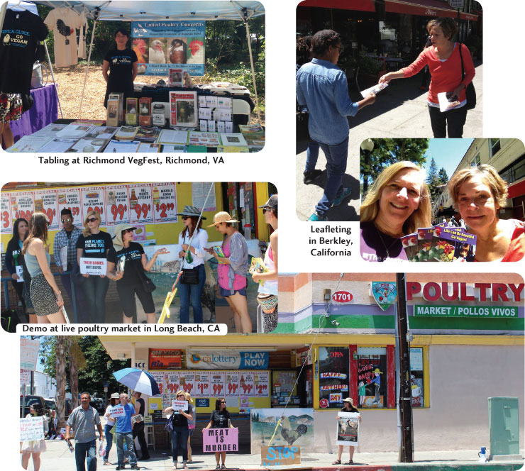 summer activism highlights2