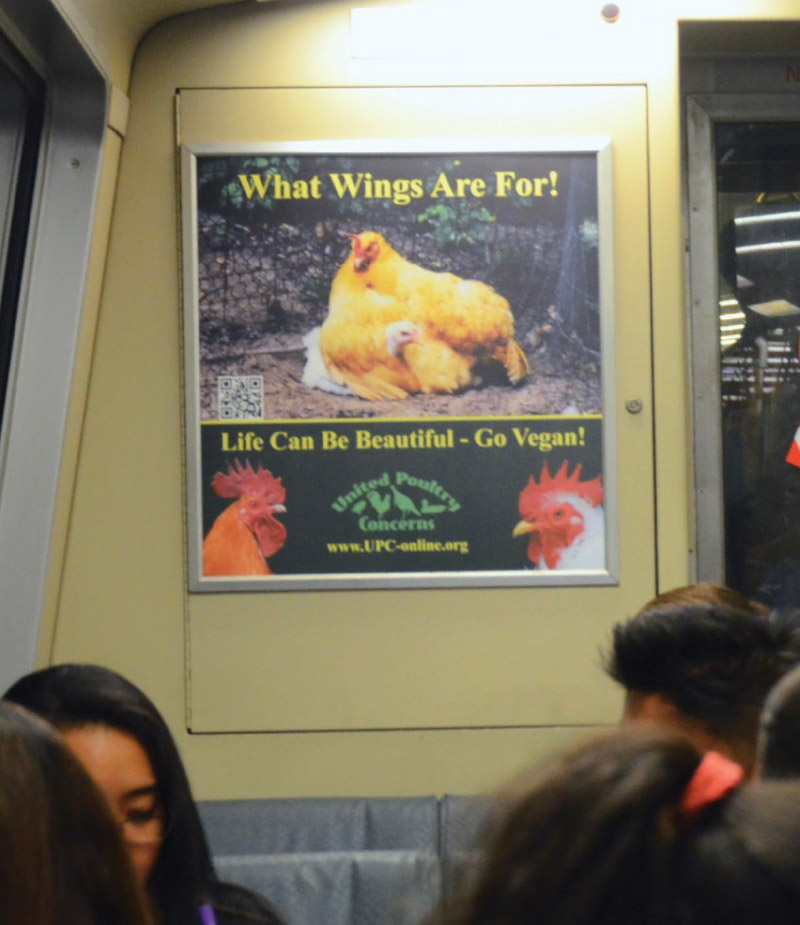 What Wings Are for on SF BART