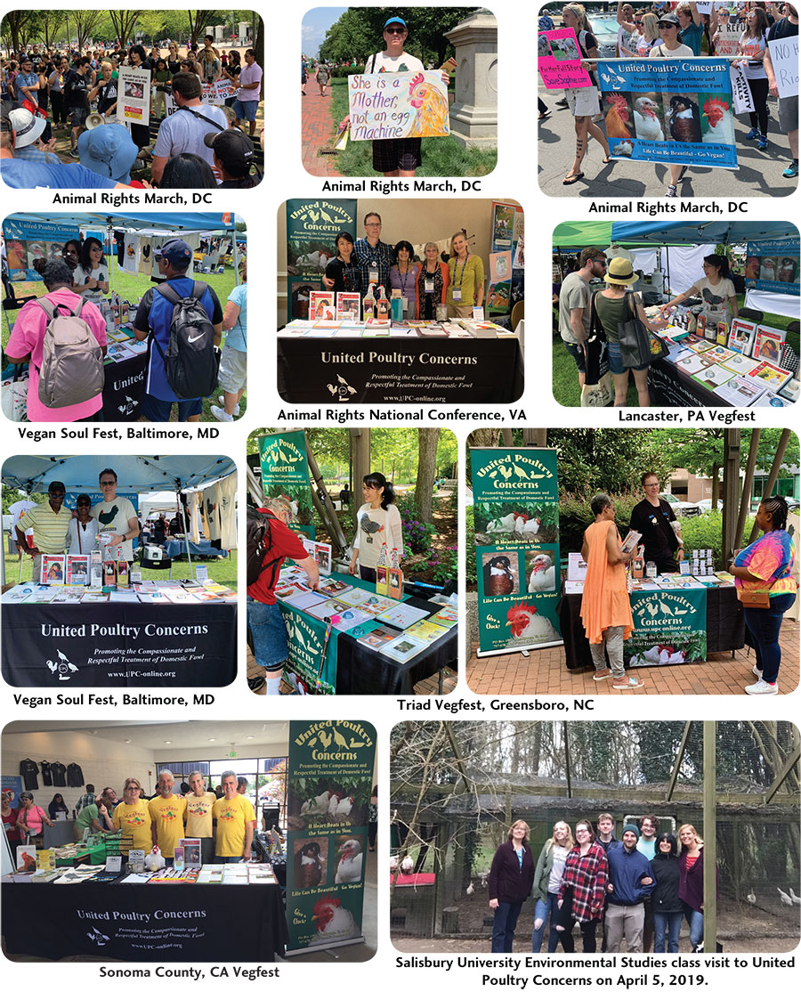 UPC Summer Activities Gallery