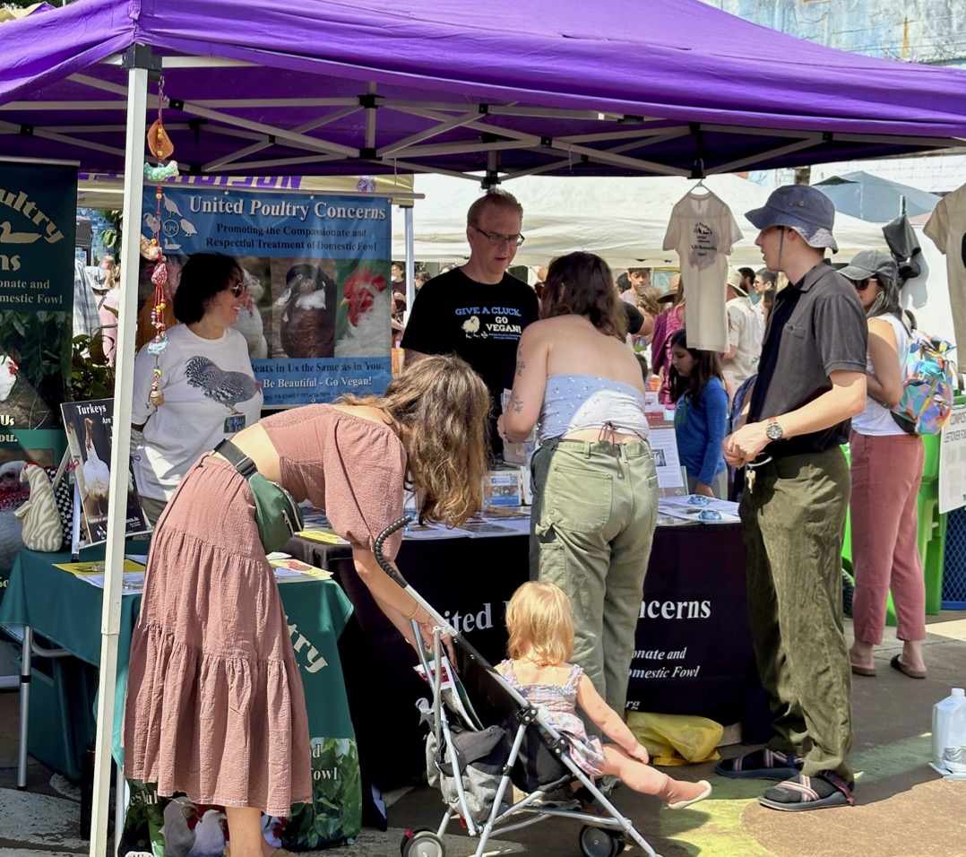 Cville Vegan Roots Fest, VA