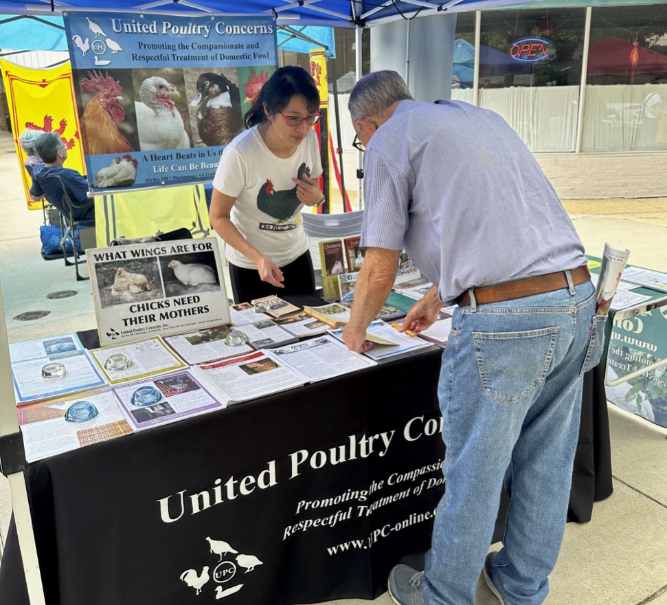 Greenbelt Labor Day Festival Information Day, MD