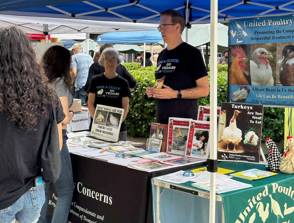 Greenbelt Labor Day Festival Information Day, MD
