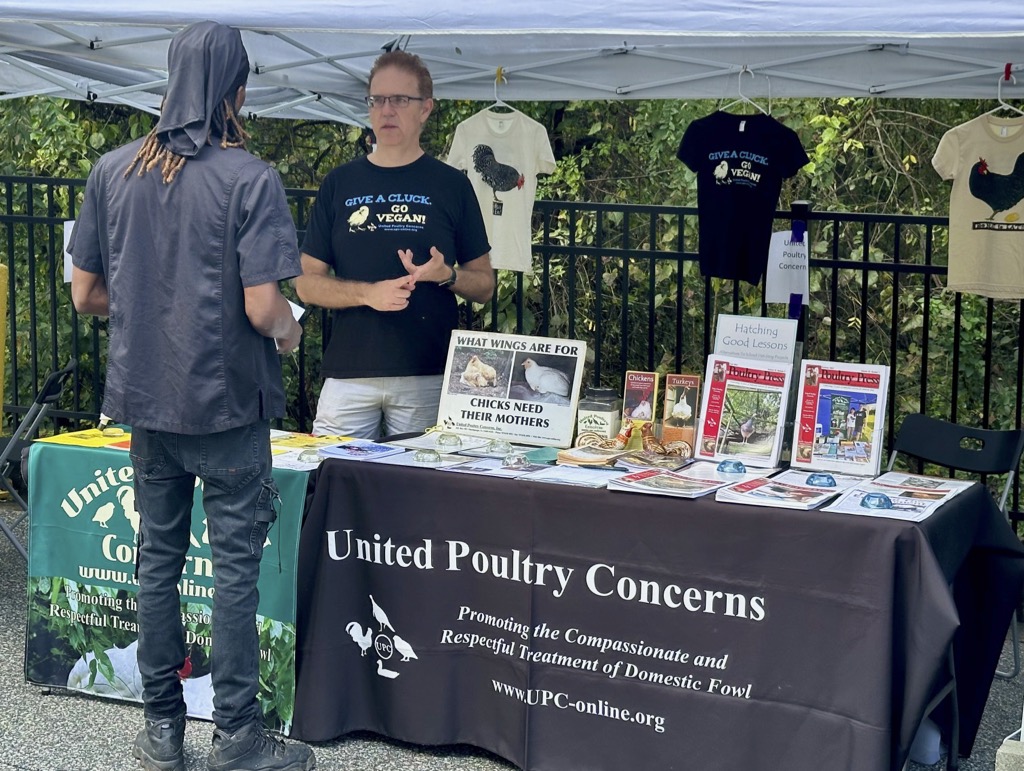 MD Vegan Fest at Roots Market, MD