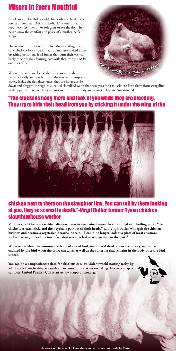 Misery In Every Mouthful Ad