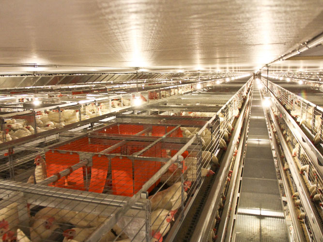 encirhced battery building