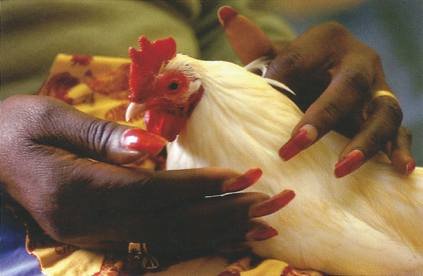 audience with mr joy