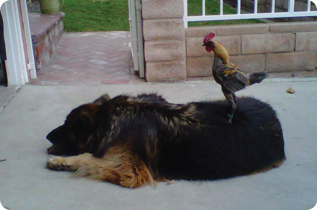 ricky and heidi