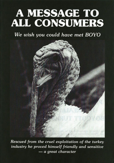 wish you could have met boyo