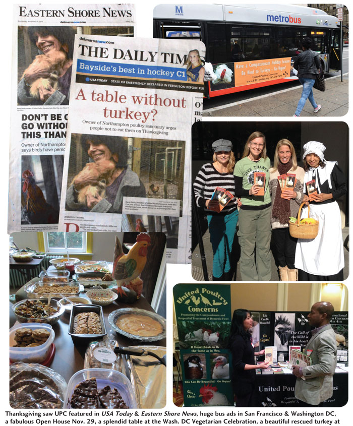 pioneering new traditions gallery 1