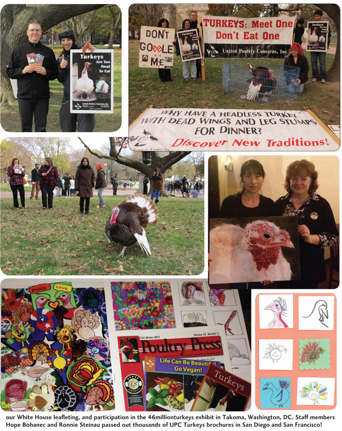 pioneering new traditions gallery 1