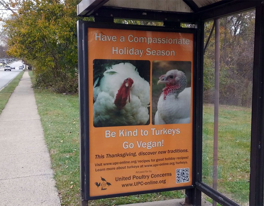 Bus Ads for Turkeys in Philadelphia