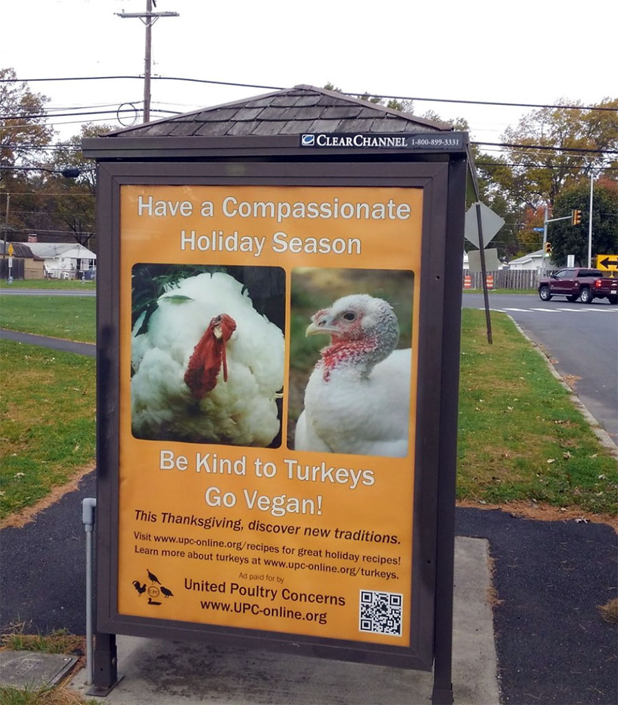Bus Ads for Turkeys in Philadelphia