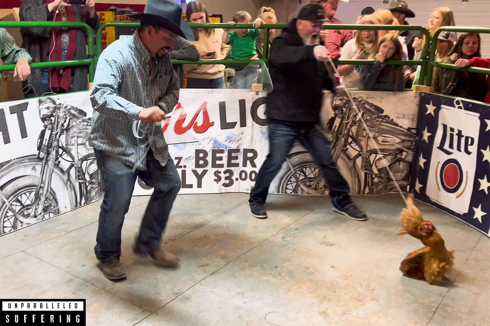 Chicken Roping Deweys Place 14