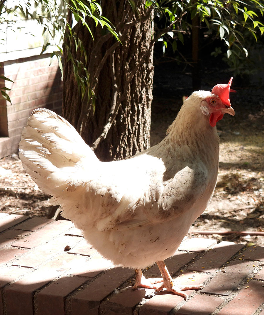 Photo of Rockie Roo & Sandra Rose by Ashley Connon
