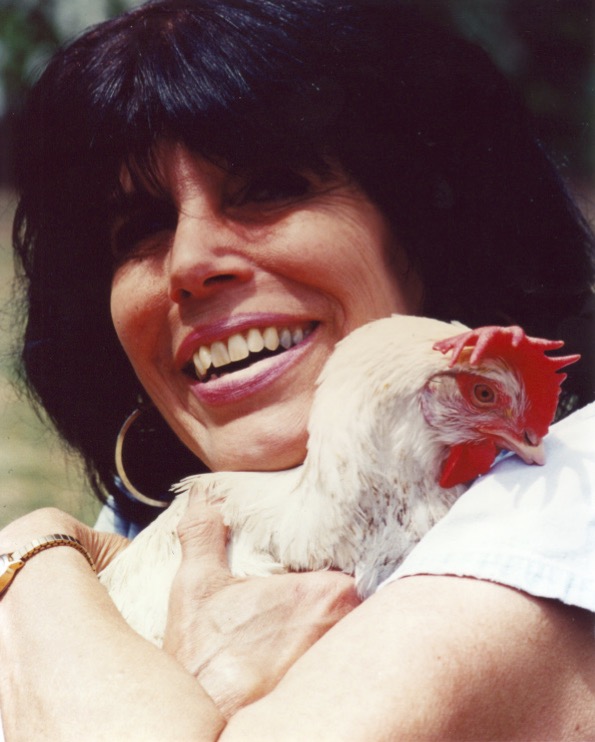 Karen and Karla the Battery Hen