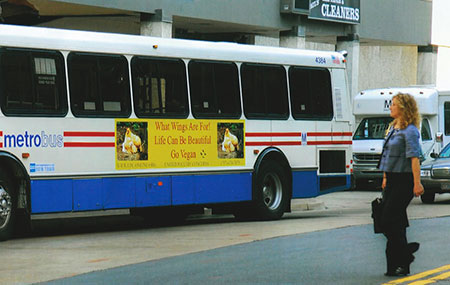 What Wings Are For Bus Ad