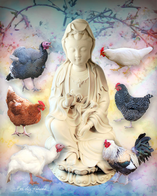 compassion for all beings