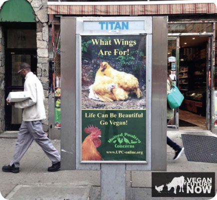 nyc what wings are for kiosk3
