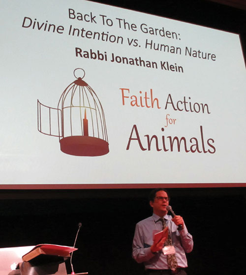 Rabbi Jonathan Klein