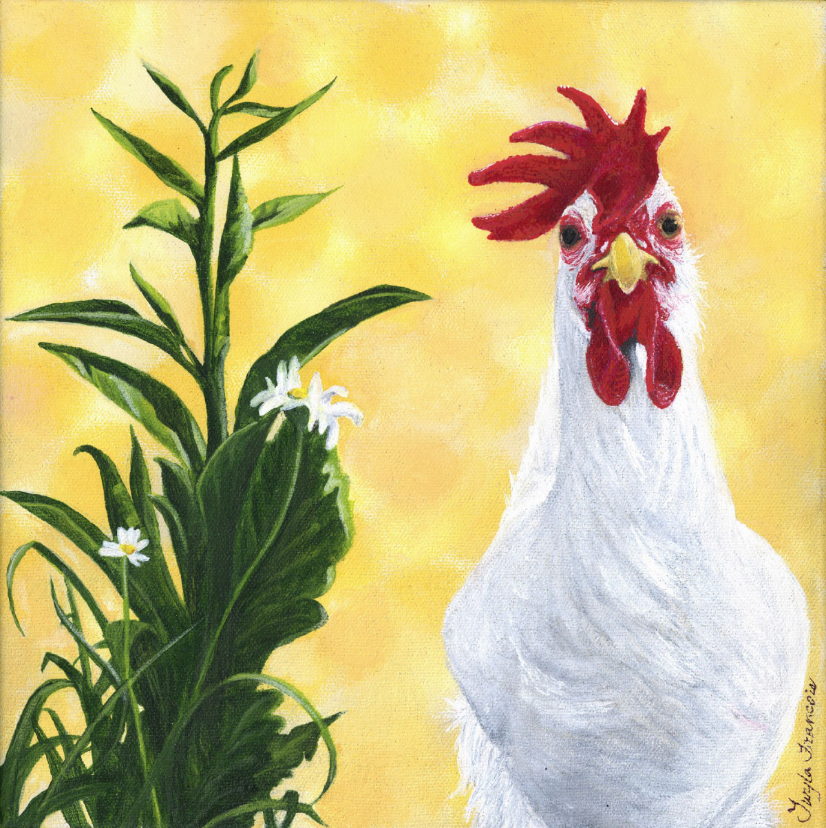 Madame Rouge by Twyla Francois