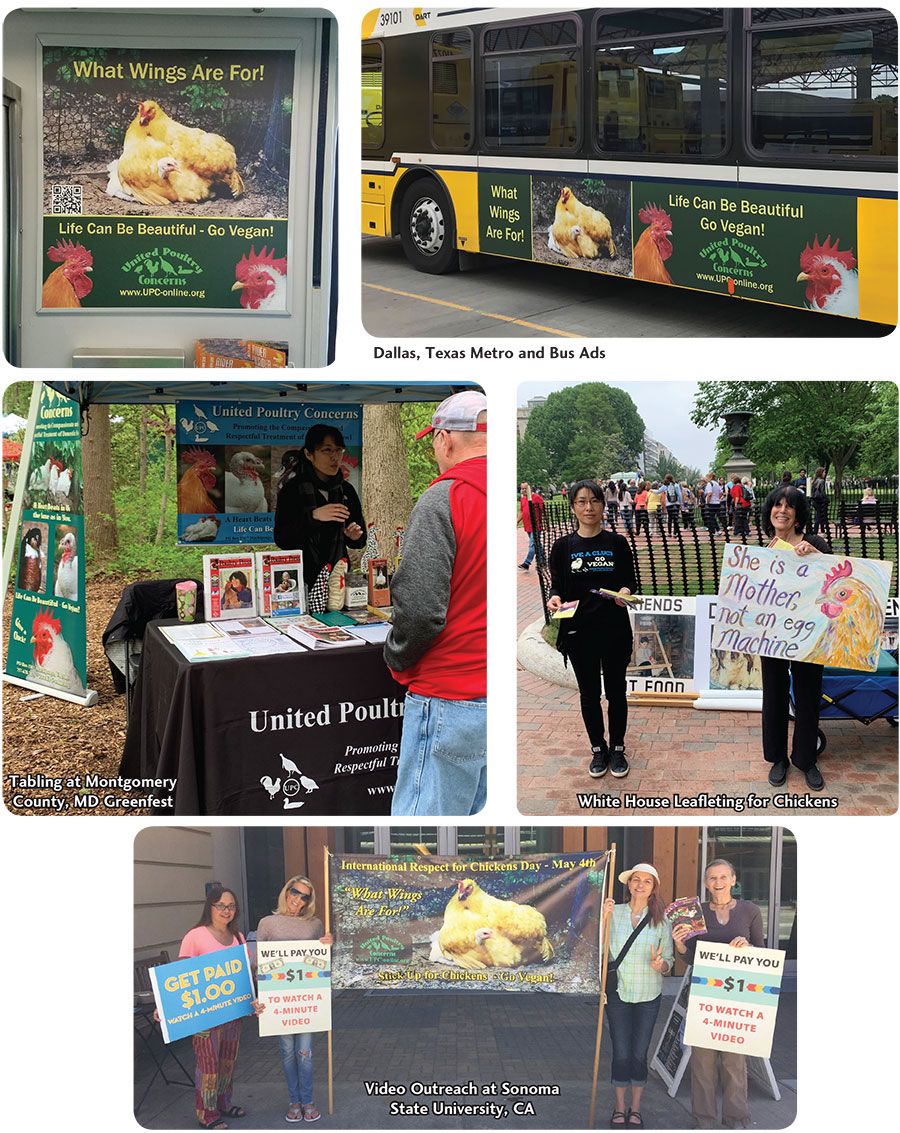 UPC Spring Activities Gallery 2