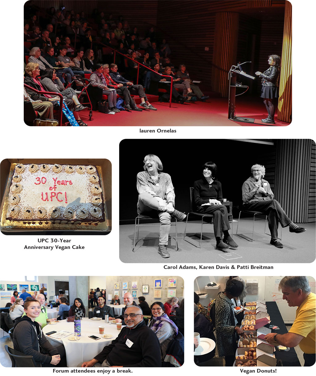 cec photos 2
