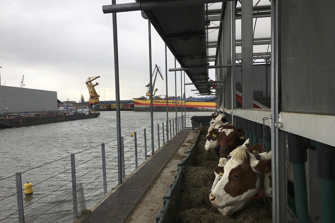Floating Farm