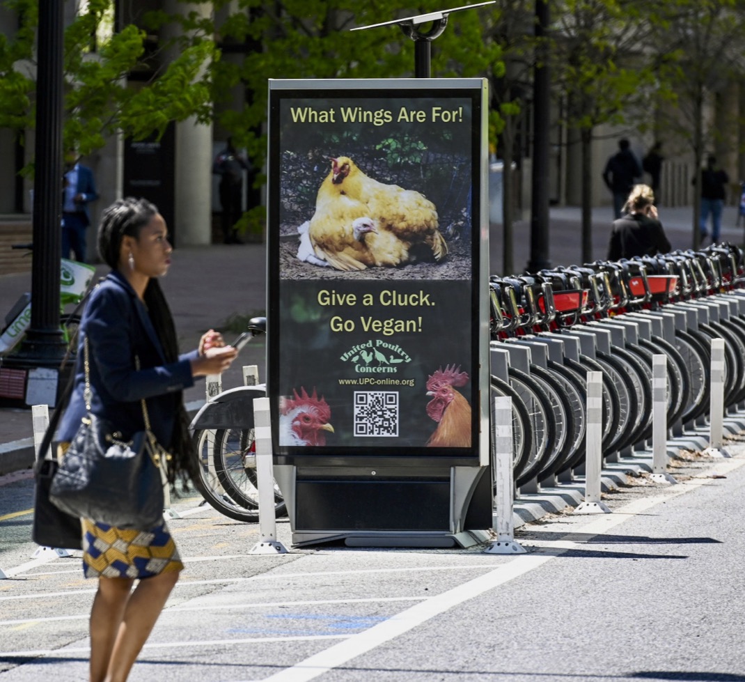 Give a Cluck DC Bike Share