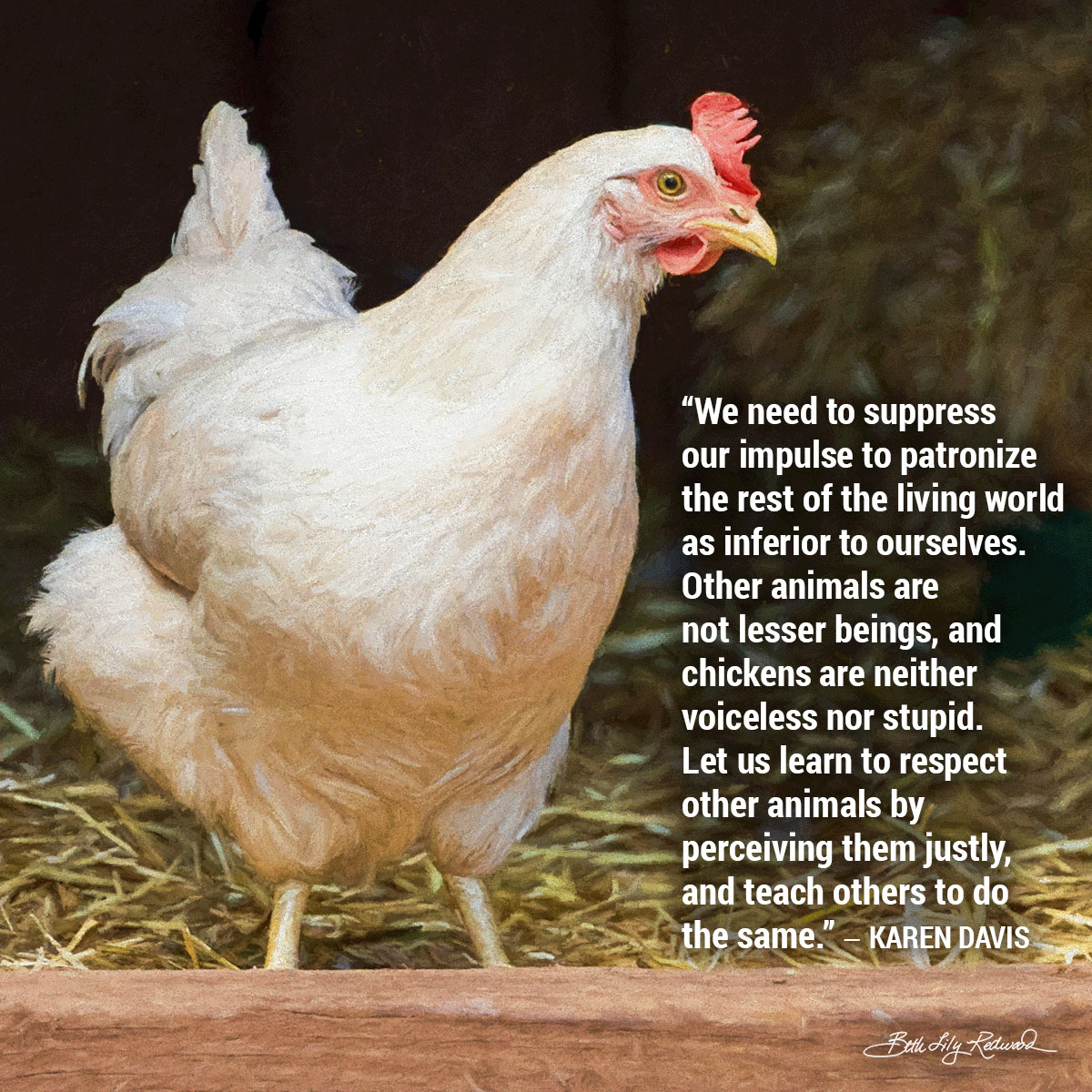 International Respect for Chickens Month Memes 3