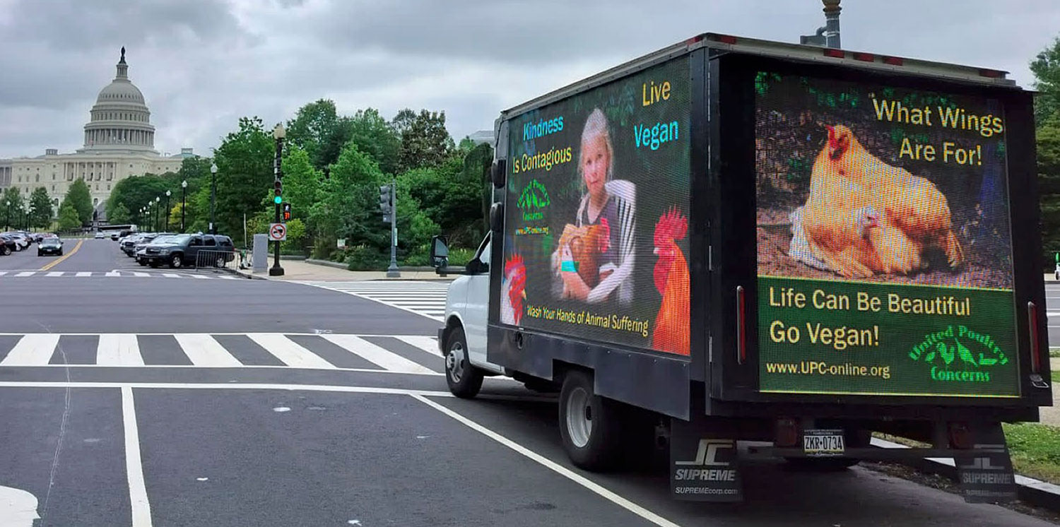 Life Can Be Beautiful Capitol