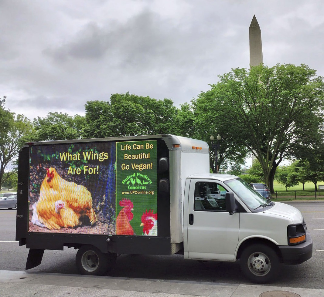 Life Can Be Beautiful Washington <onument