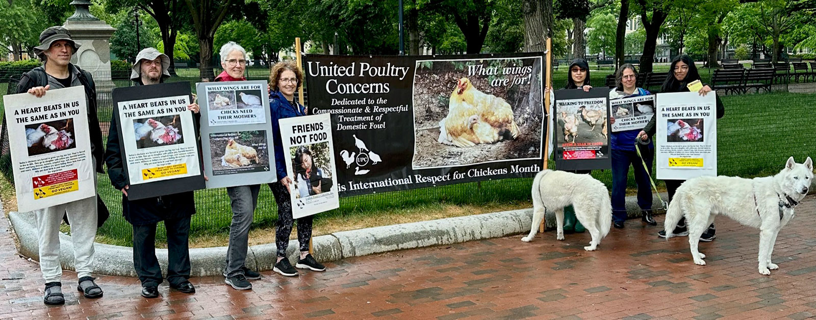 White House Leafleting