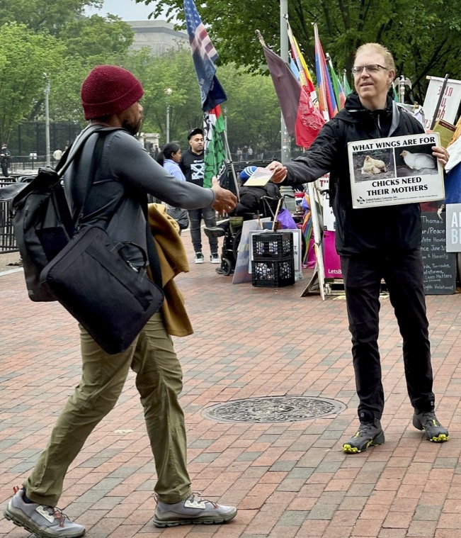 White House Leafleting
