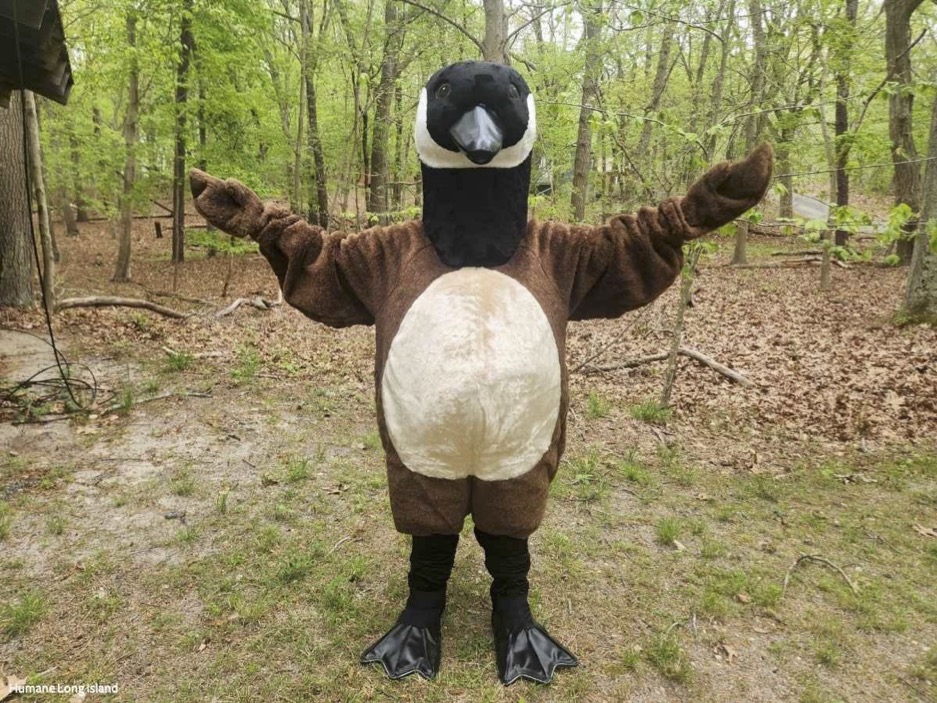 Activist in Goose Costume