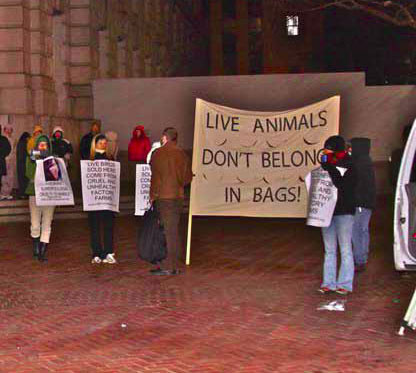 live animals dont belong in bags