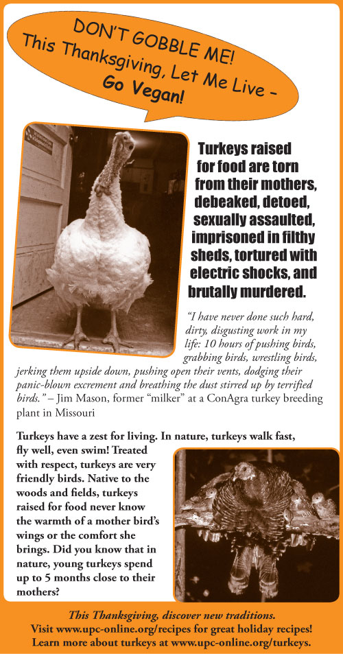 diamondback turkey ad