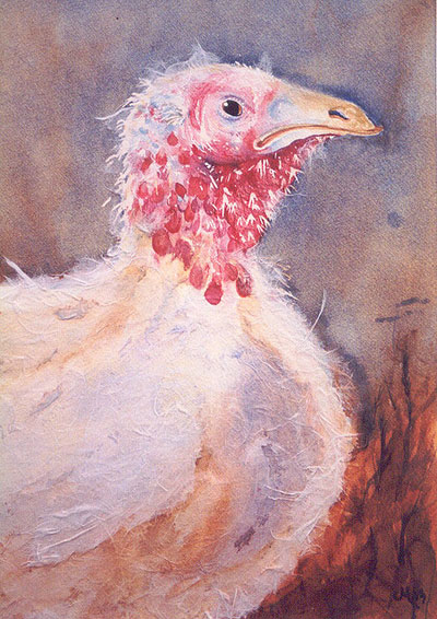 happy thanksgiving 2002