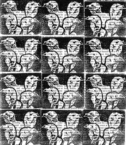 read between the turkeys