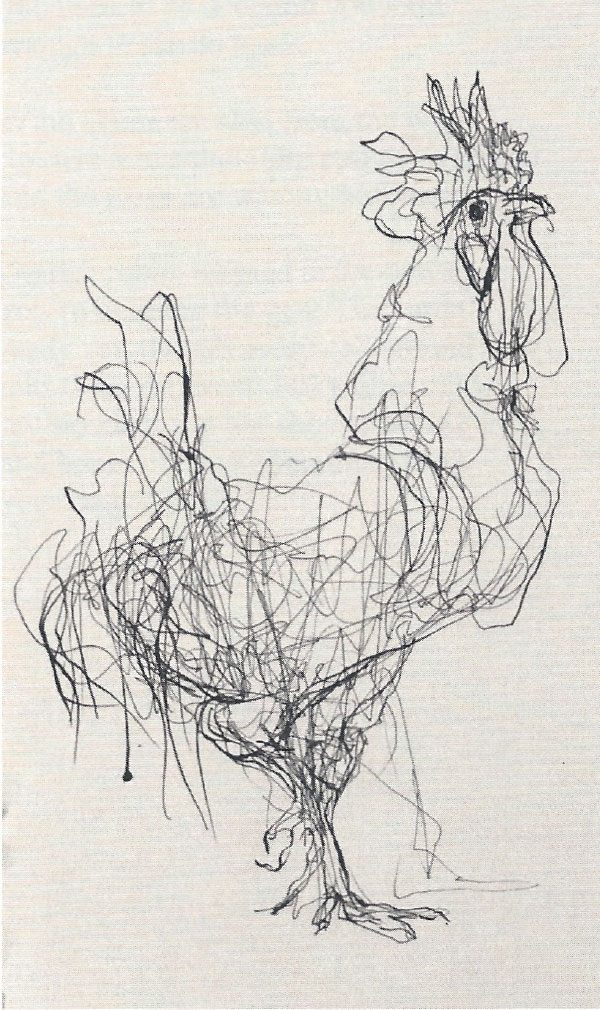 Coxcomb
