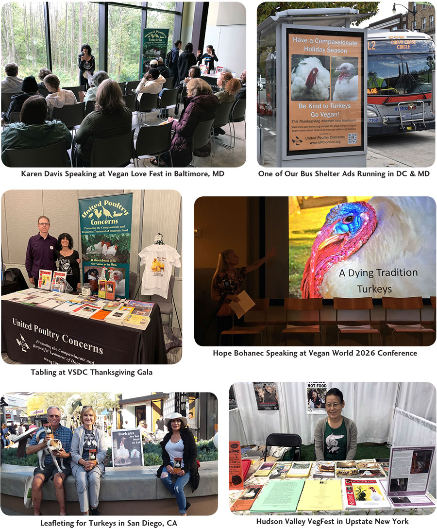 UPC Fall Activism Photo Gallery 1