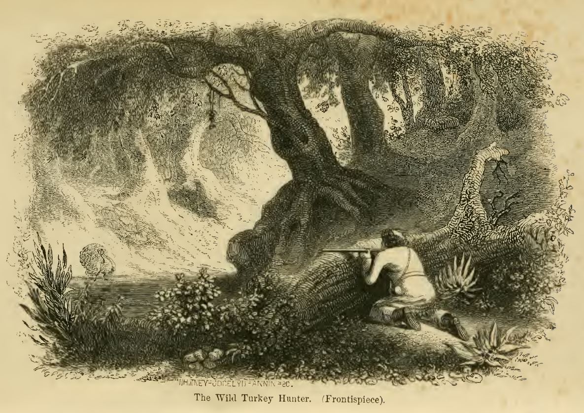 The Wild Turkey Hunter