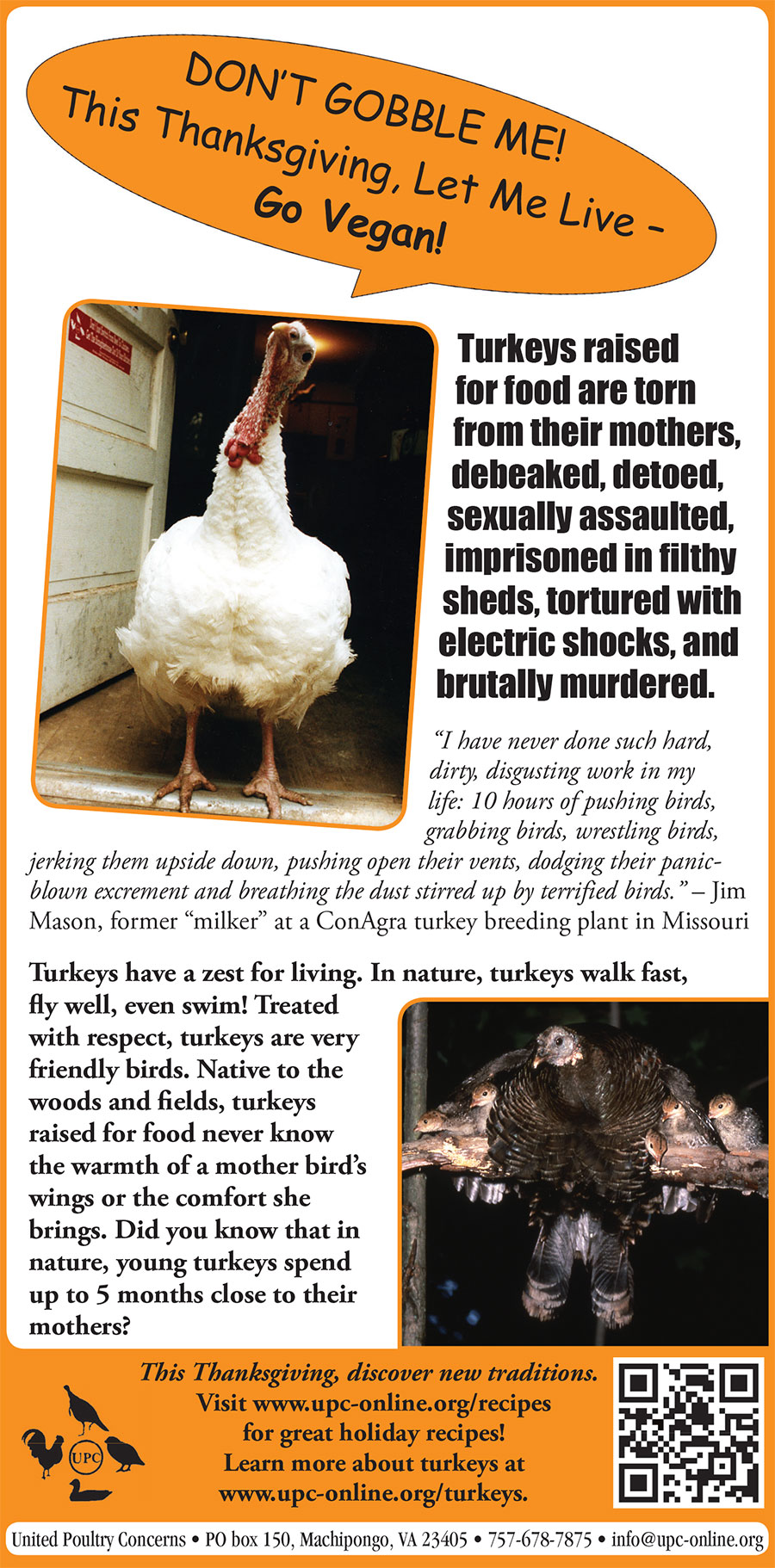 This Thanksgiving Don't Gobble Me!