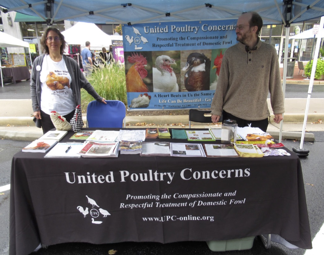 Loudoun County Vegfest, Virginia