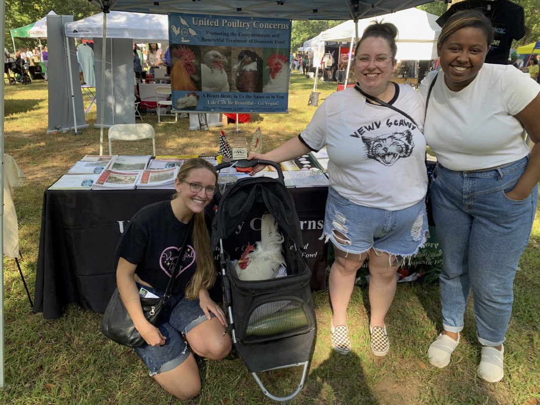 Richmond Vegfest, Virginia