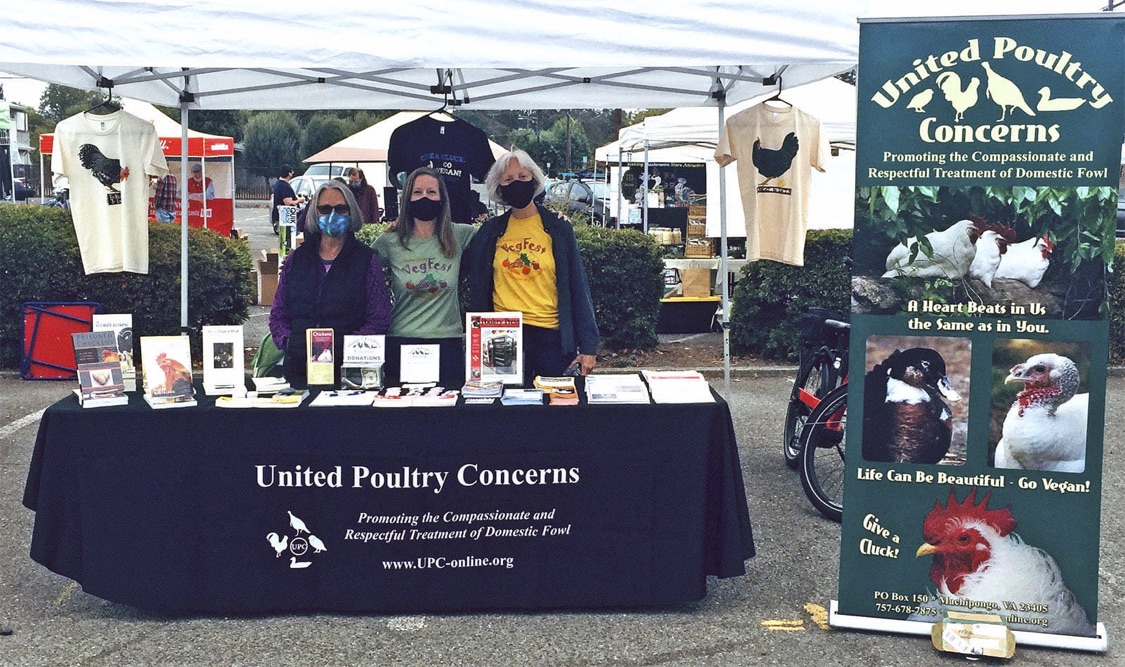 Sonoma County VegFest in Santa Rosa, CA