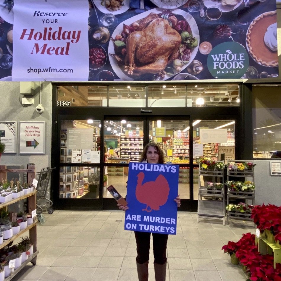 Loudoun County Vegfest, Virginia