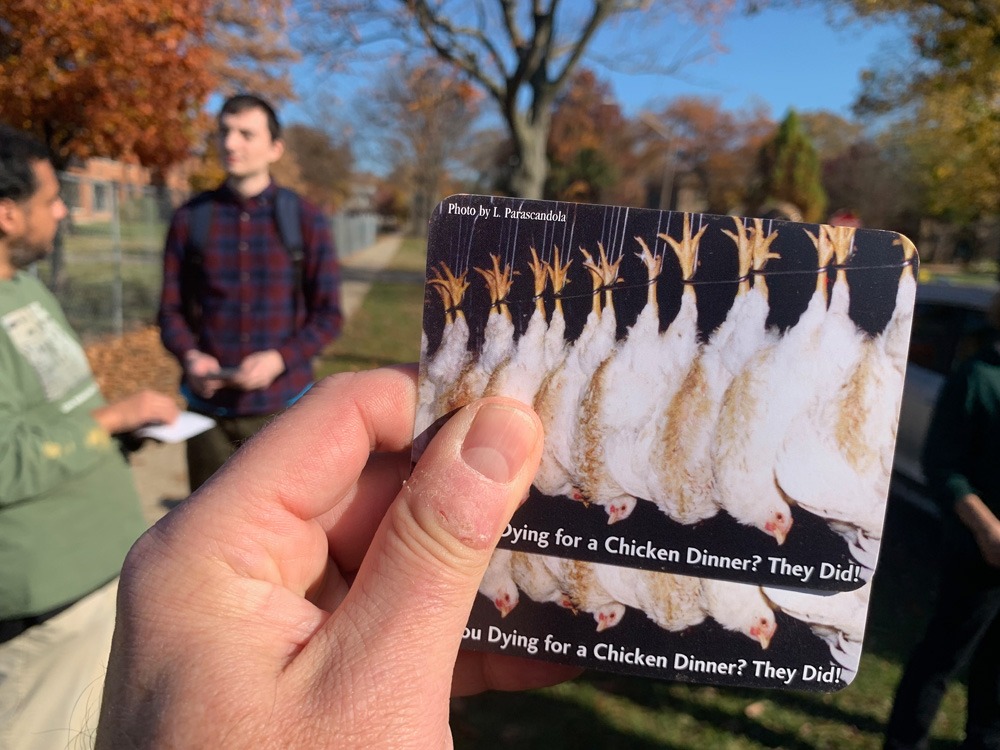 “Dying for Dinner” Cards