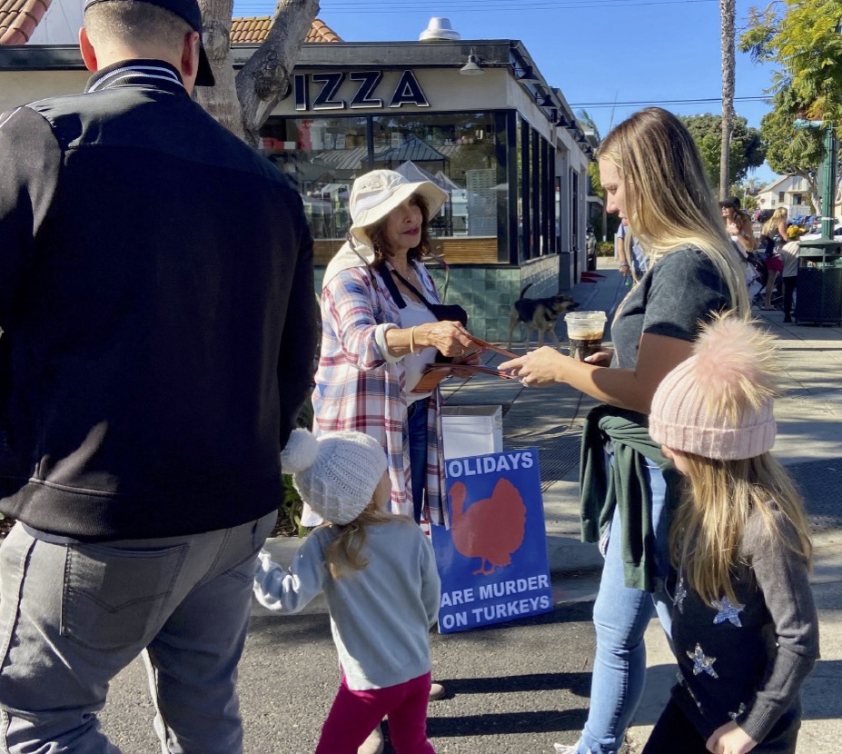 Encinitas Street Fair, CA