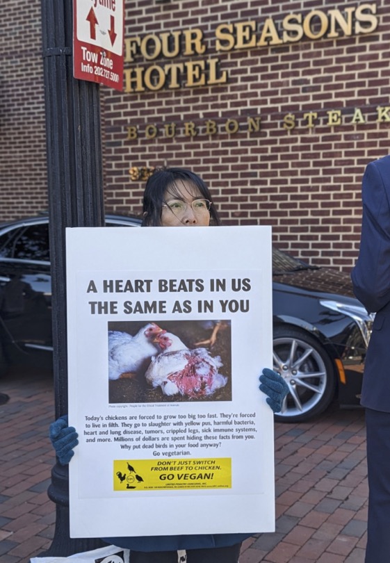 Slaughter Free Network Protest at National Chicken Council conference luncheon, DC