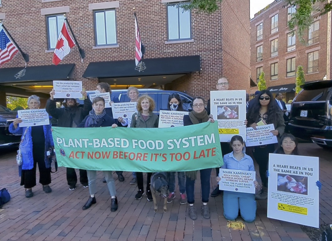 Slaughter Free Network Protest at National Chicken Council conference luncheon, DC